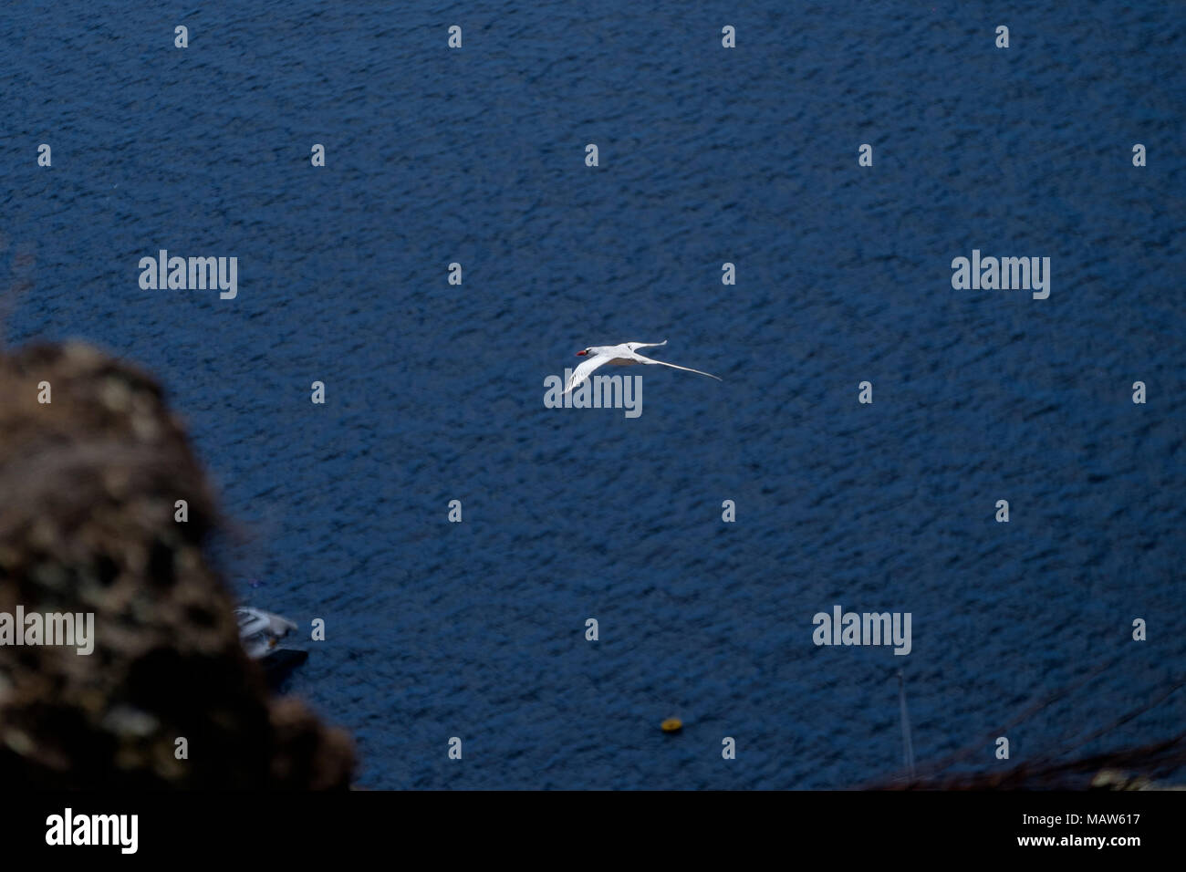 St helena island south atlantic hi-res stock photography and images - Alamy