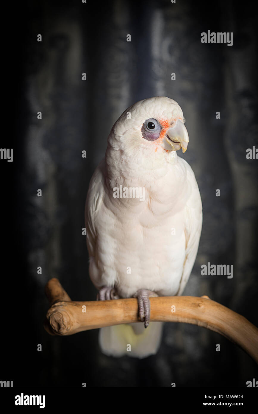 Gallery image with a fresh perspective