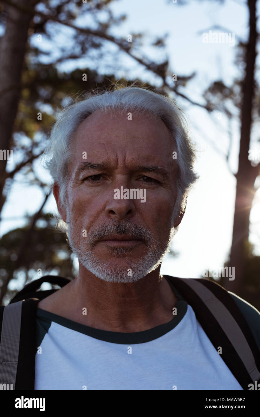 Solo man standing alone in forest hi-res stock photography and images ...