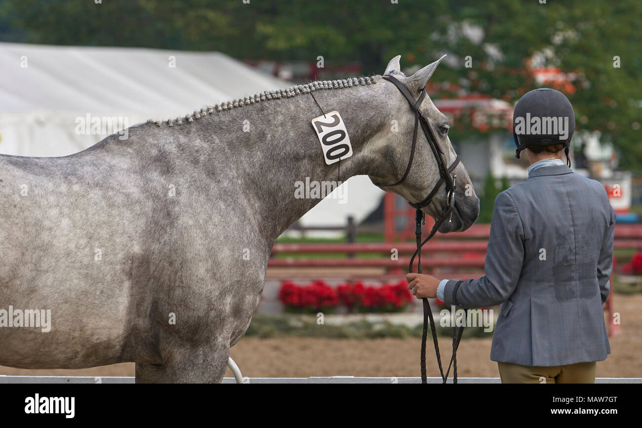 Merrill Lynch Hunter Jumper Classic. Moreland Hills, Ohio Stock Photo