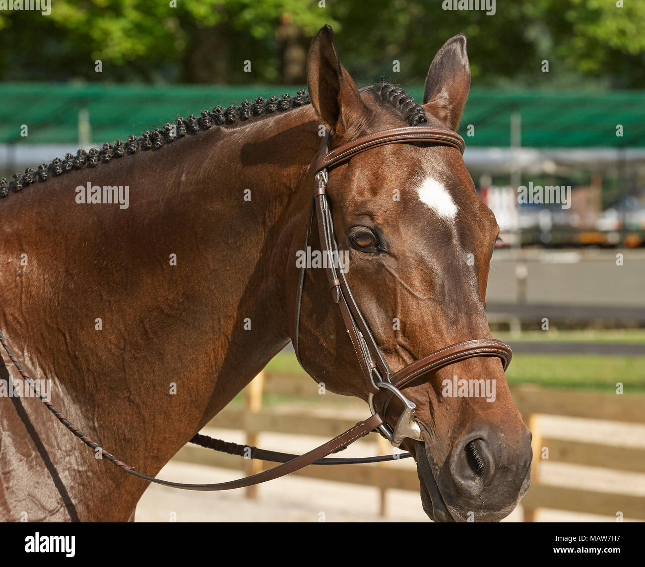 Merrill Lynch Hunter Jumper Classic. Moreland Hills, Ohio Stock Photo