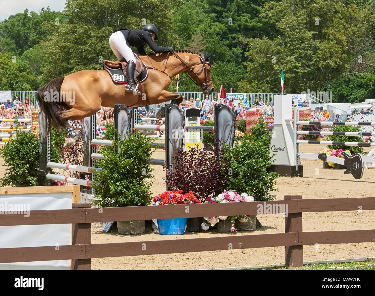 Merrill lynch hunter jumper classic hires stock photography and images