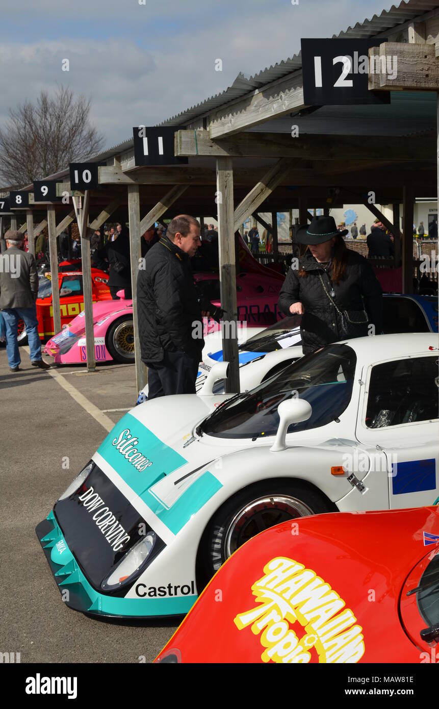 In the paddock at the 2015 73rd Goodwood Members Meeting at the West