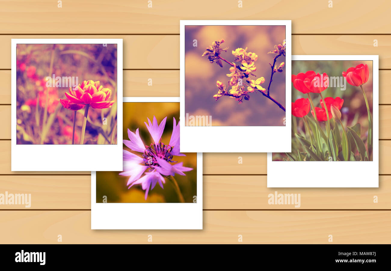 Vintage flowers photo on wooden table, photo collage Stock Photo