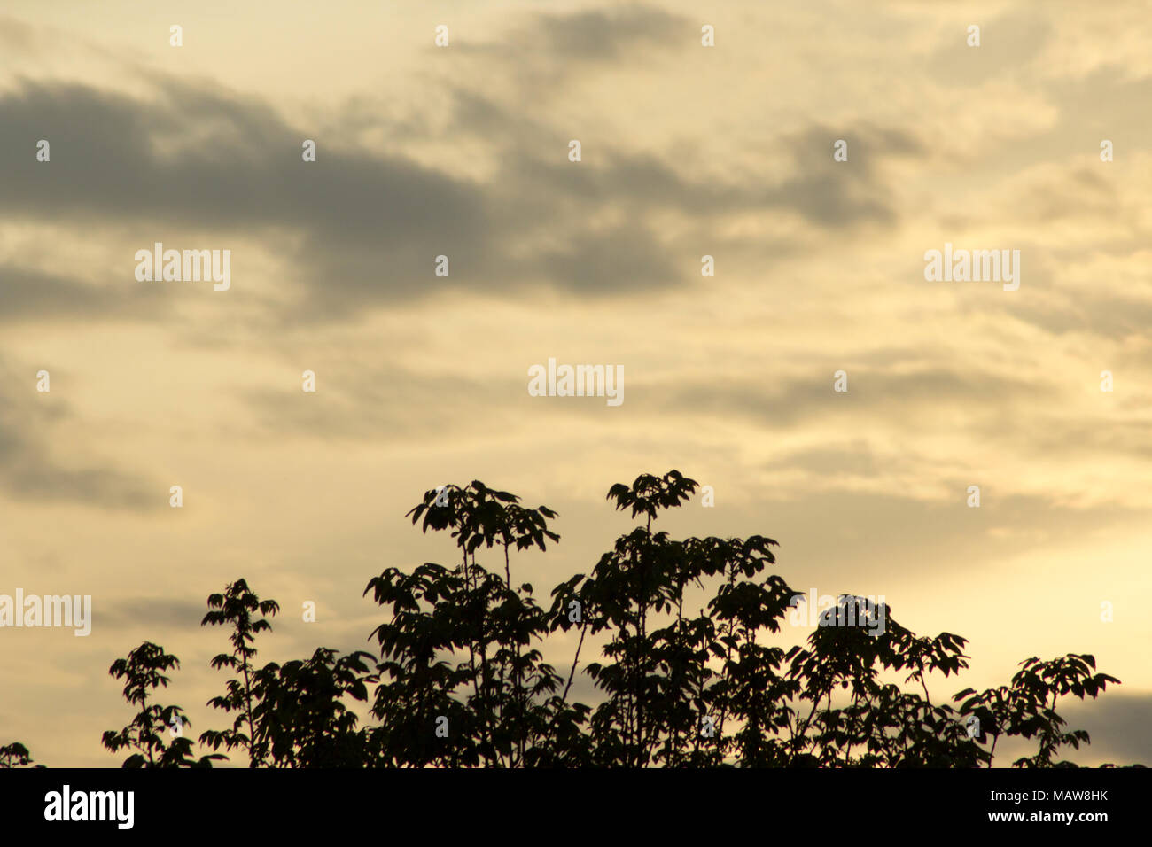 Sunset skies. Abstract nature background. Stock Photo