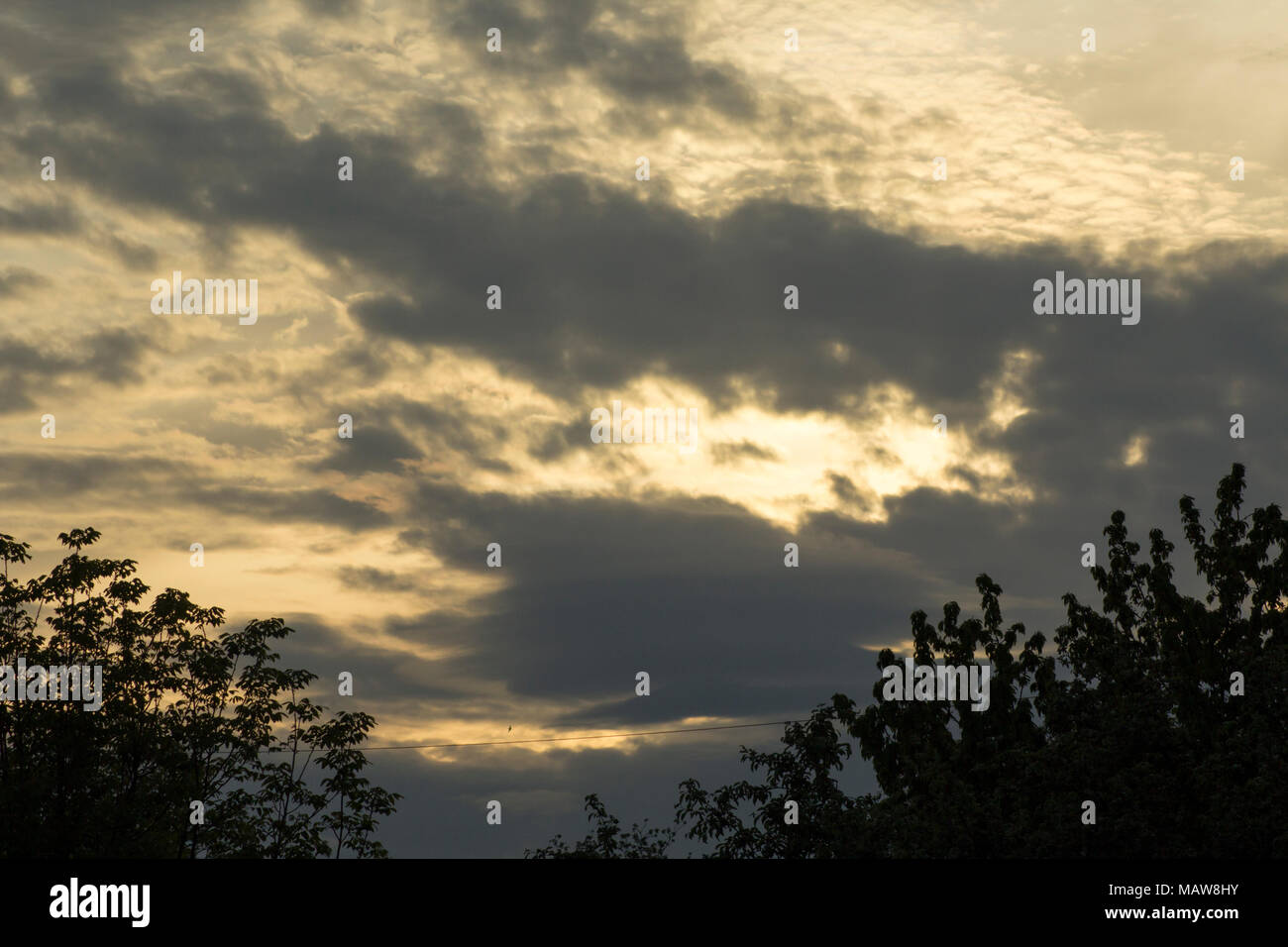 Sunset skies. Abstract nature background. Stock Photo