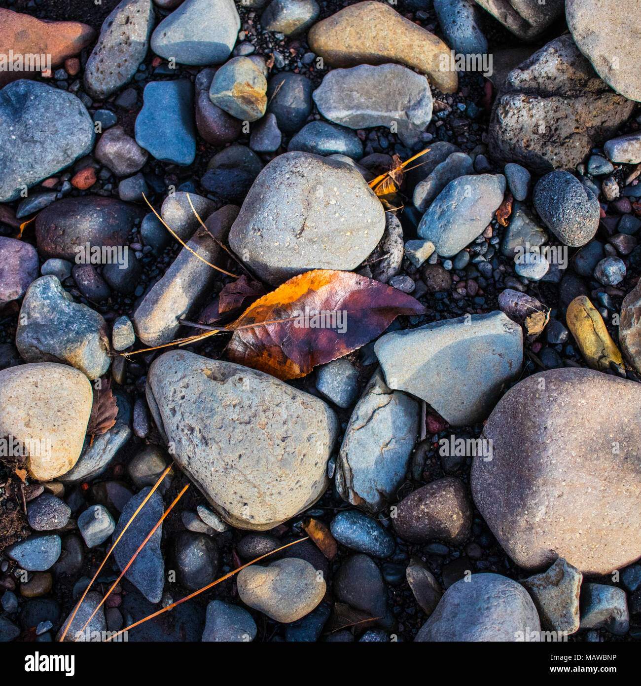 Rocks on a dry riverbed Stock Photo