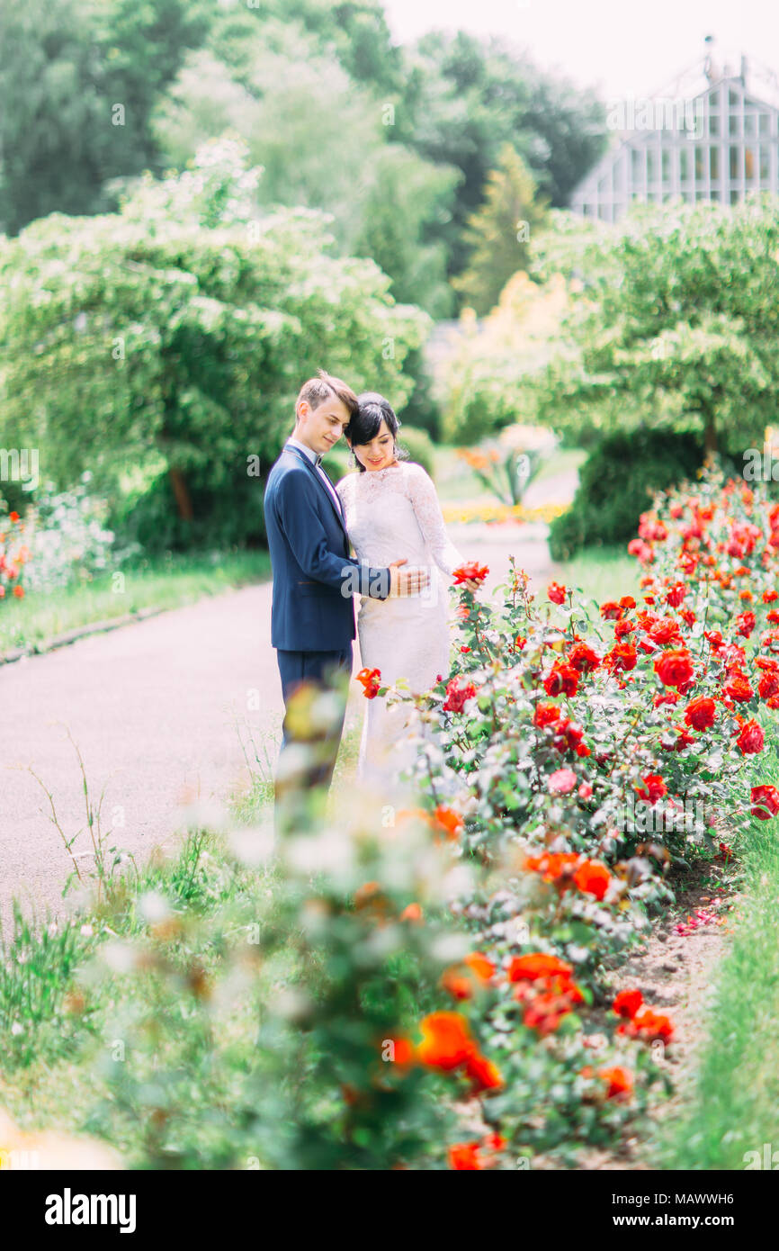 Happy newlyweds posing in park hi-res stock photography and images - Alamy
