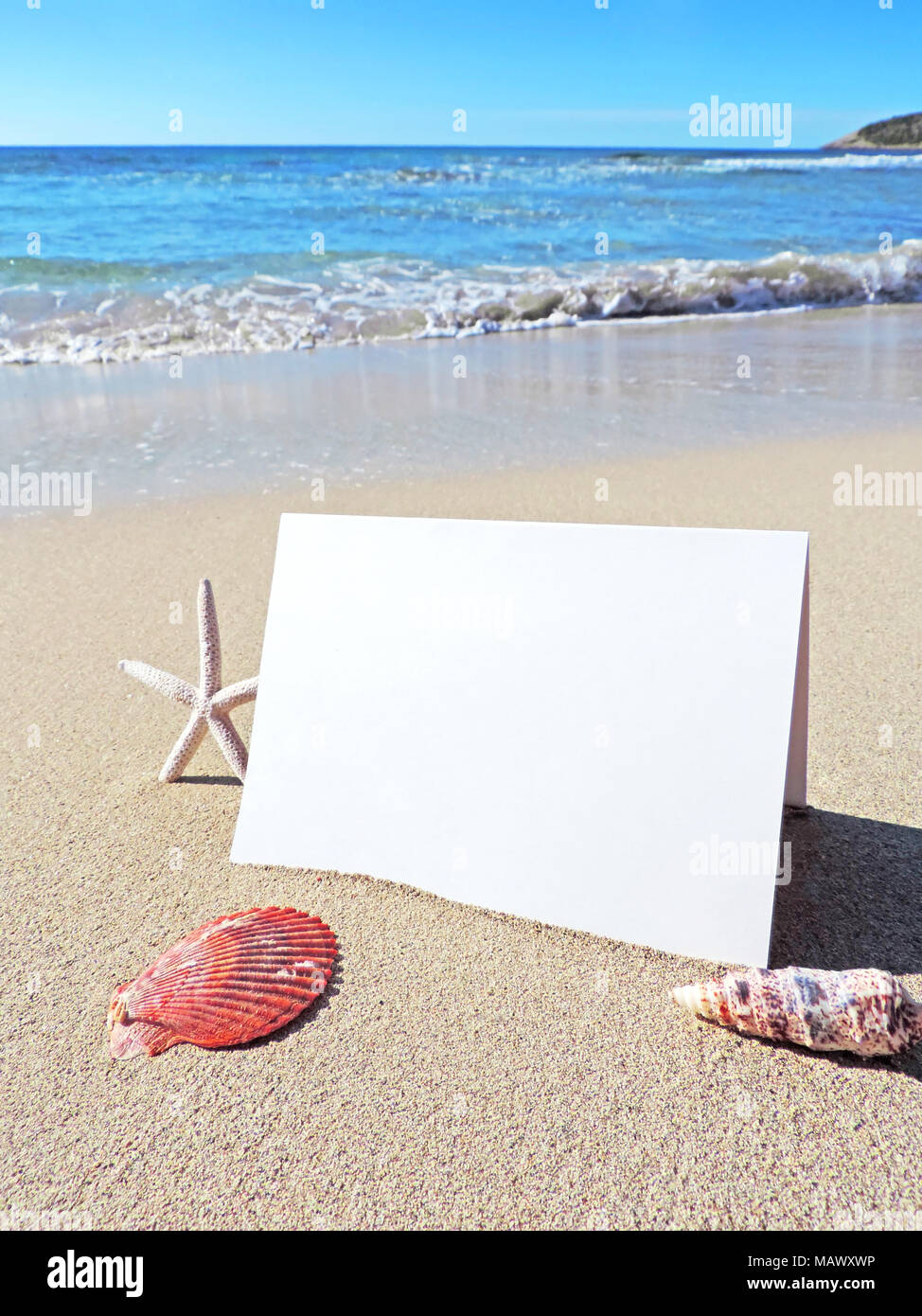 Blank White Card Or Greeting Card On The Beach With Copy Space Summer Holiday Or Beach Vacation Scene With Shells And Starfish Holiday Greetings Stock Photo Alamy Blank White Card Or Greeting Card On The Beach With Copy Space Summer Holiday Or Beach Vacation Scene With Shells And Starfish Holiday Greetings Stock Photo Alamy