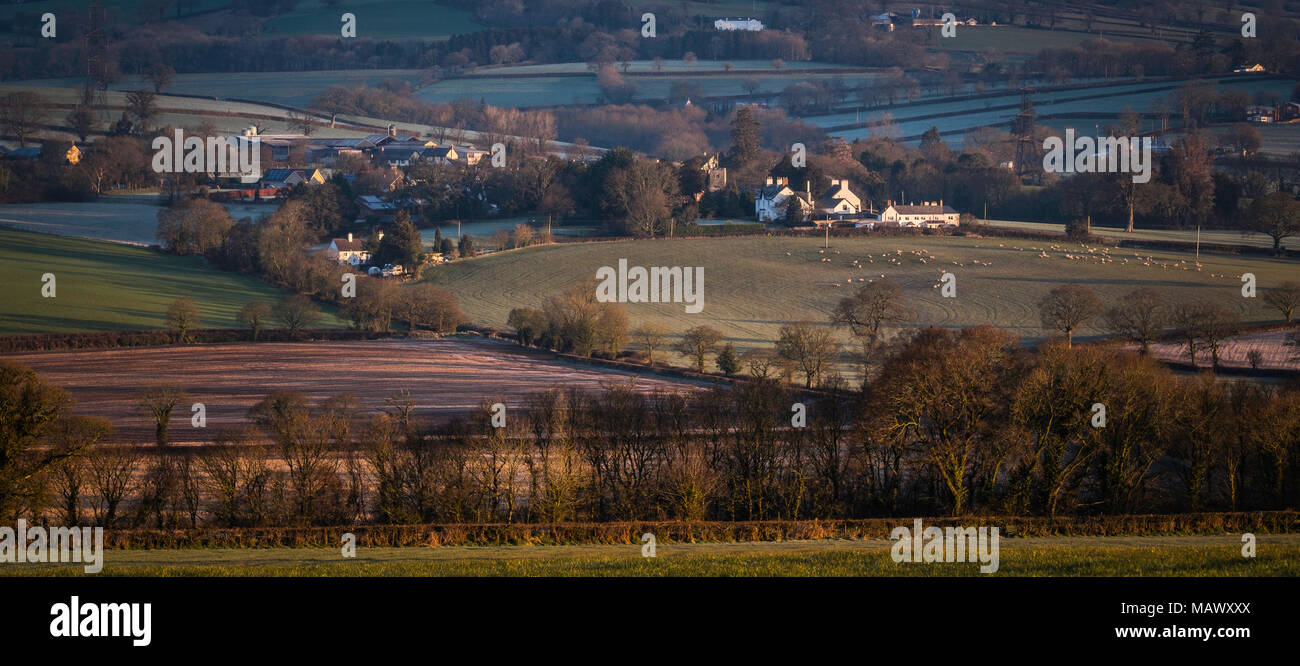 East Devon Area of Outstanding Natural Beauty near Gittisham at first light. Stock Photo