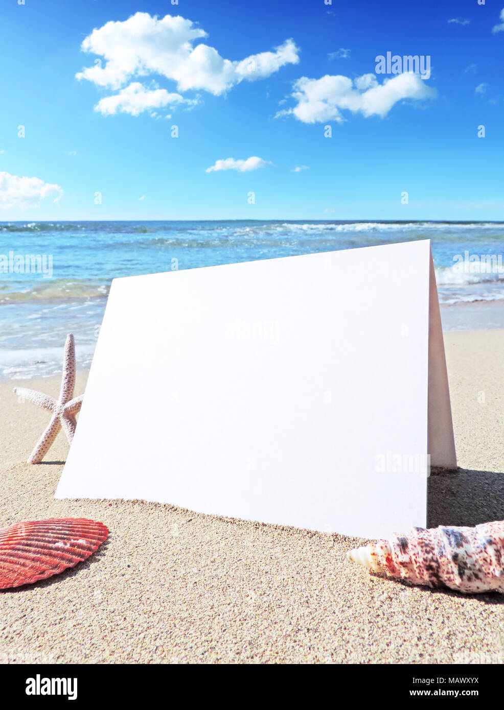 Blank white card or greeting card on the beach with copy space.  Summer holiday or beach vacation scene with shells and starfish. Holiday greetings. Stock Photo