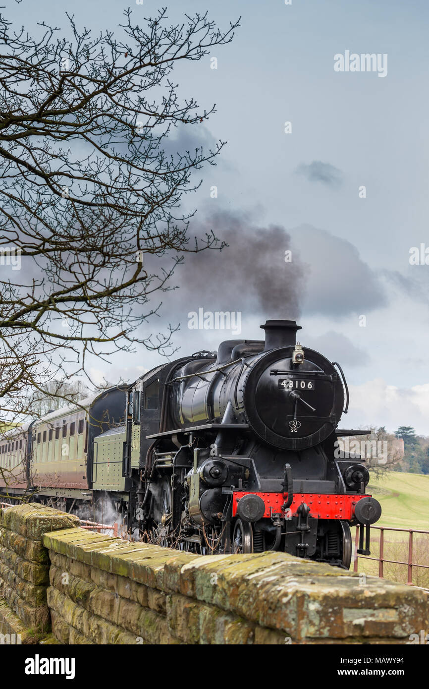 Front view of old, vintage SVR steam locomotive 43106 (LMS Ivatt Class 4) approaching, puffing smoke, travelling through scenic countryside in spring. Stock Photo