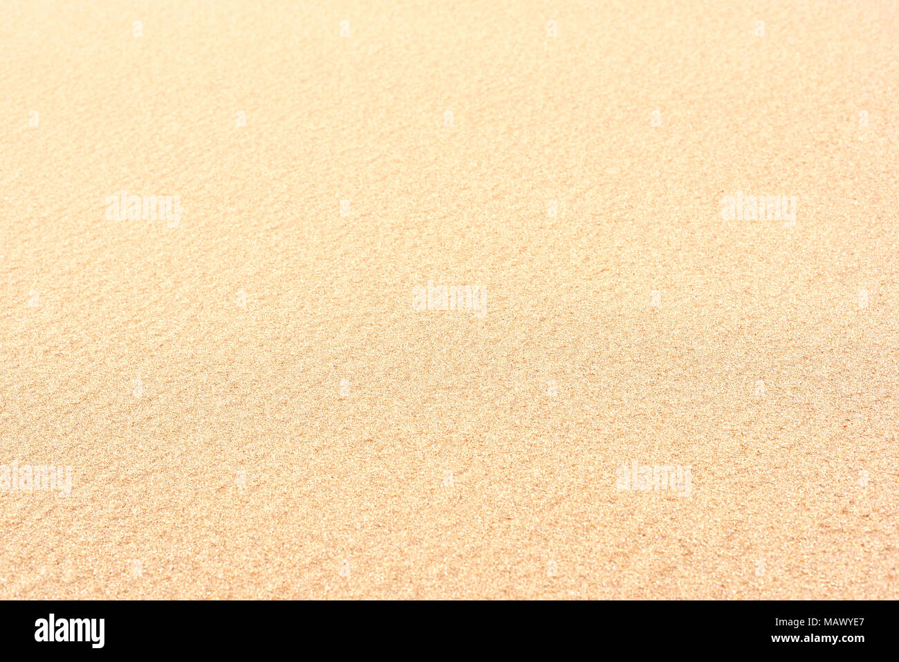 sand background, beach background with copy space. Summer vacation background. Stock Photo