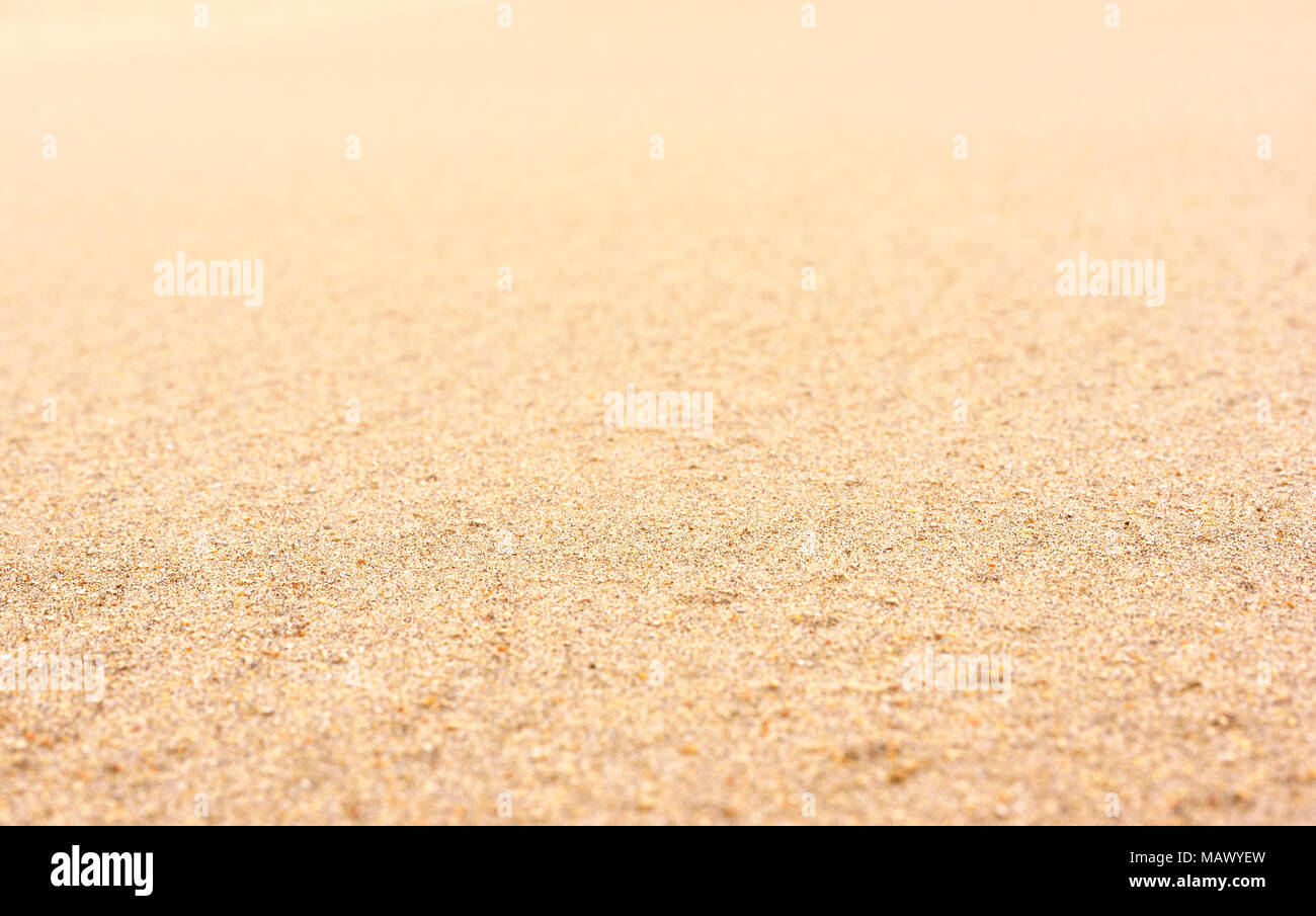 sand background, beach background with copy space. Summer vacation background. Stock Photo