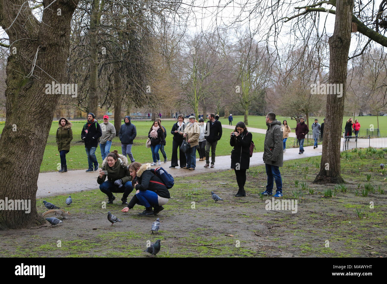 Tourist And Locals Out And About In St James Park On A Mild Day In The Capital As The Temperatures Reaches 9 Degrees Celsius After Heavy Snowfall And Severe Weather Over The Tourist And Locals Out And About In St James Park On A Mild Day In The Capital As The Temperatures Reaches 9 Degrees Celsius After Heavy Snowfall And Severe Weather Over The