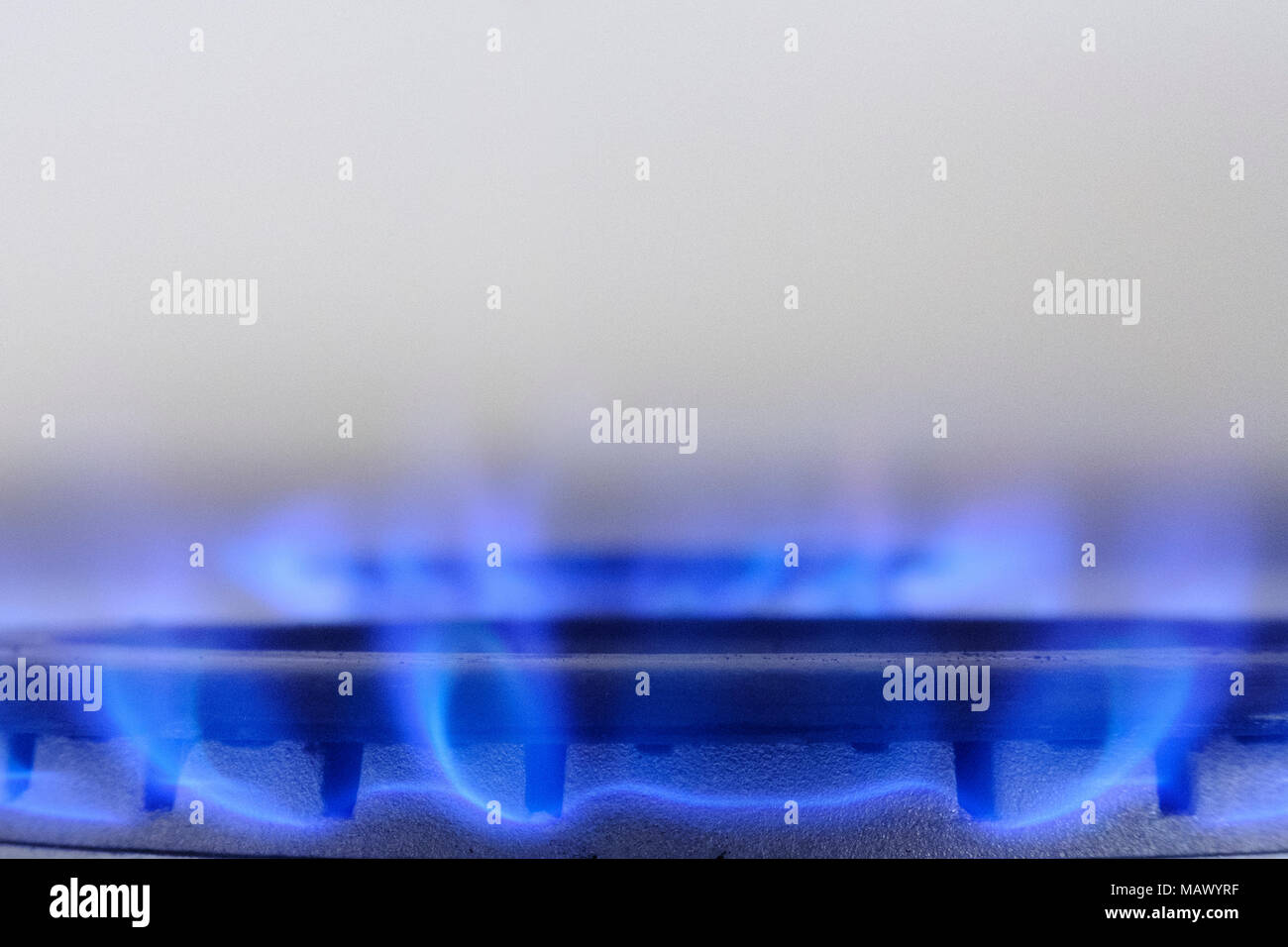 Gas cooker burning gas with a blue flame with a white back ground Stock Photo Alamy