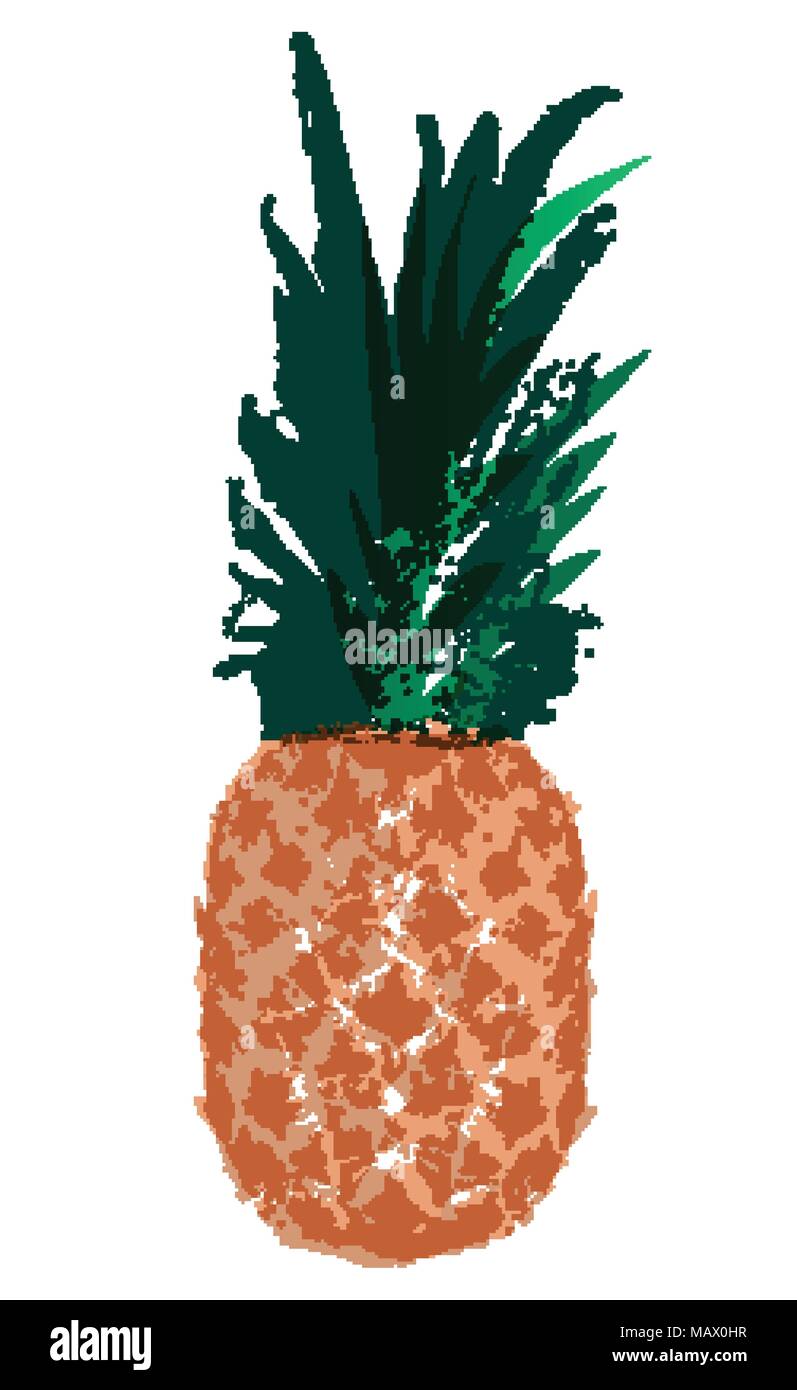 Vector Single Sketch Pineapple Stock Vector