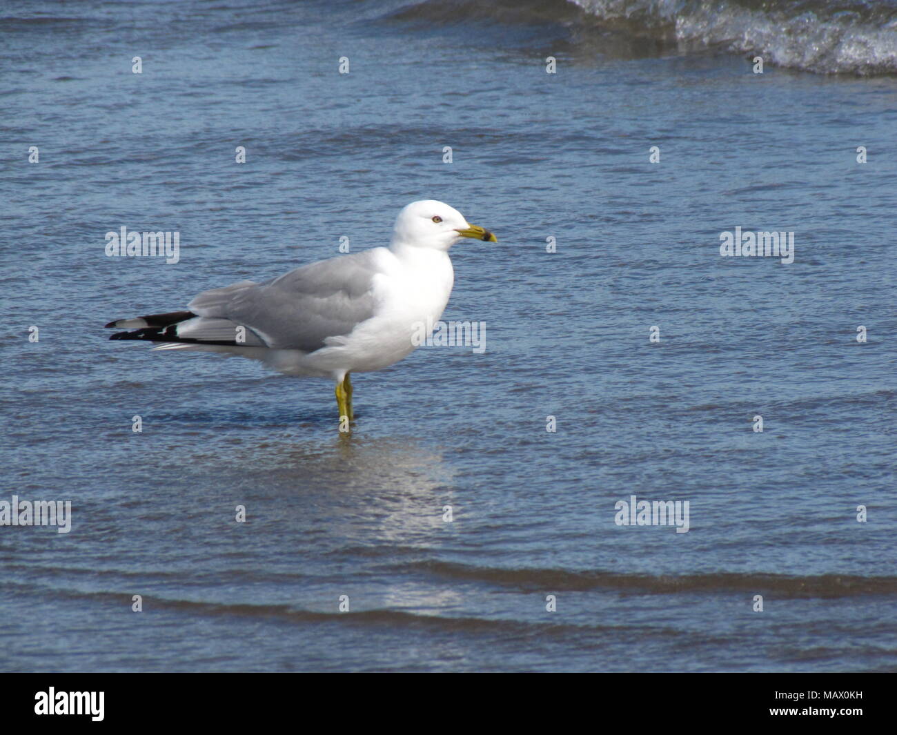 East chezzetcook hires stock photography and images Alamy