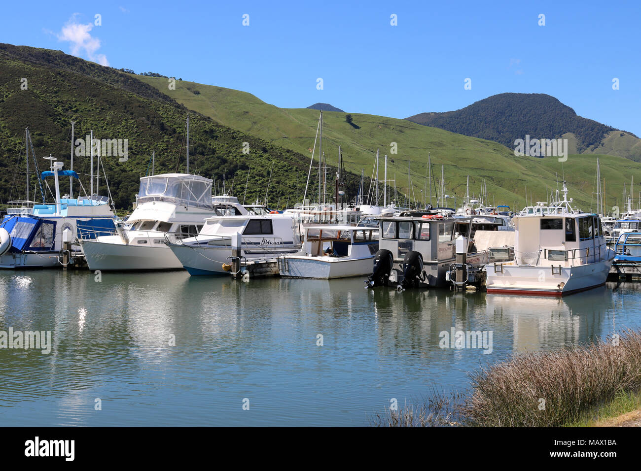 View of boats and yachts in the marina at Havelock on Pelorus Sound, Marlborough region, South Island, New Zealand Stock Photo