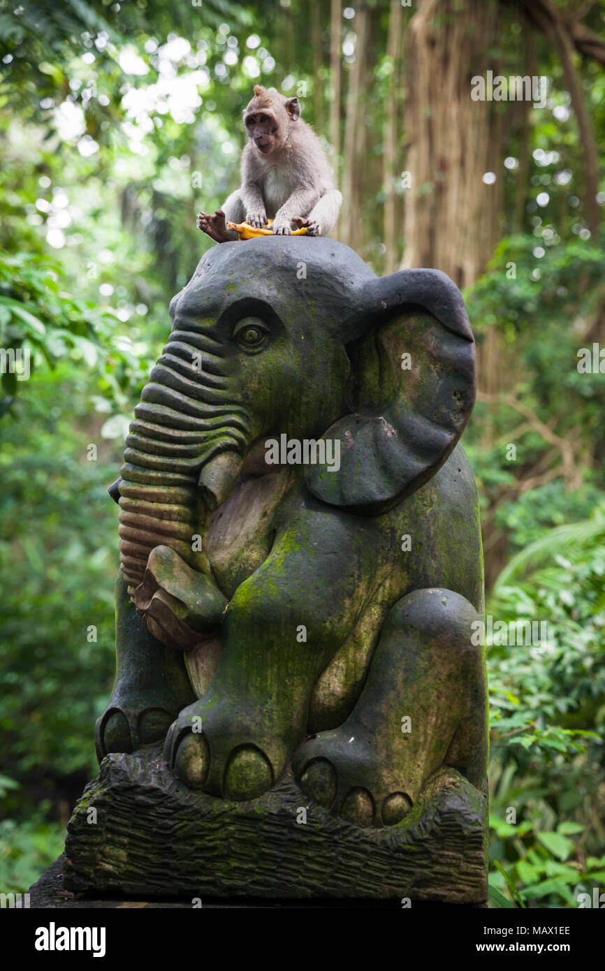 Balinese long-tailed monkey sitting on the statue with banana in Monkey Forest Sanctuary, Ubud, Bali, Indonesia Stock Photo