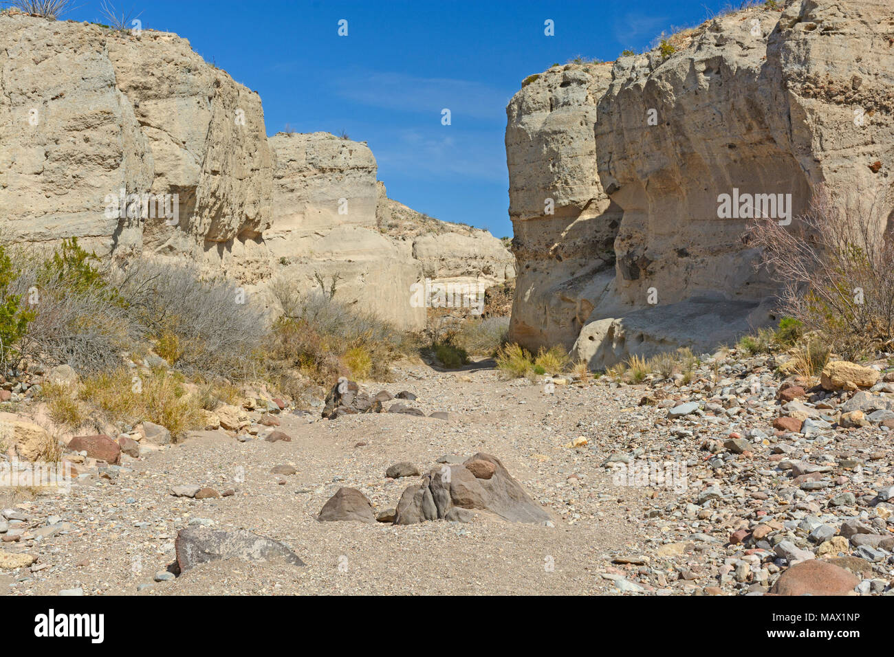 Dry Riverbed in a Tuff Canyon in Big Bend National Park in Texas Stock Photo