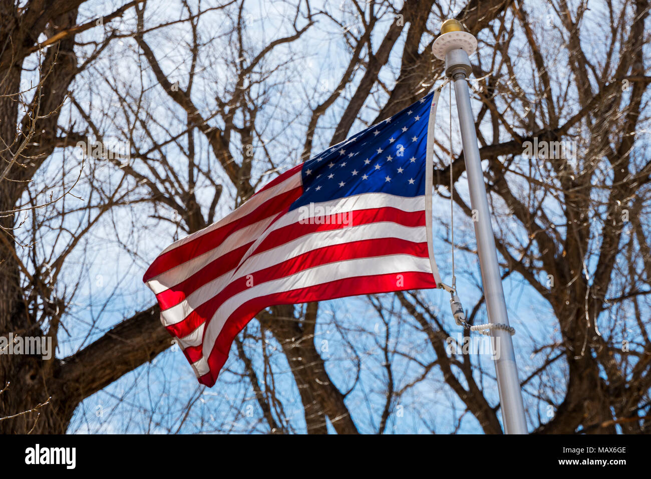 American Flag flying against blue sky & tree branches in Riverside Park; Salida; Colorado; USA Stock Photo