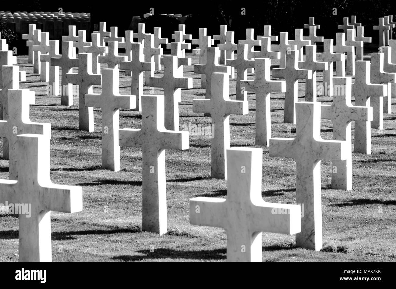 Brookwood military cemetery war graves crosses Stock Photo