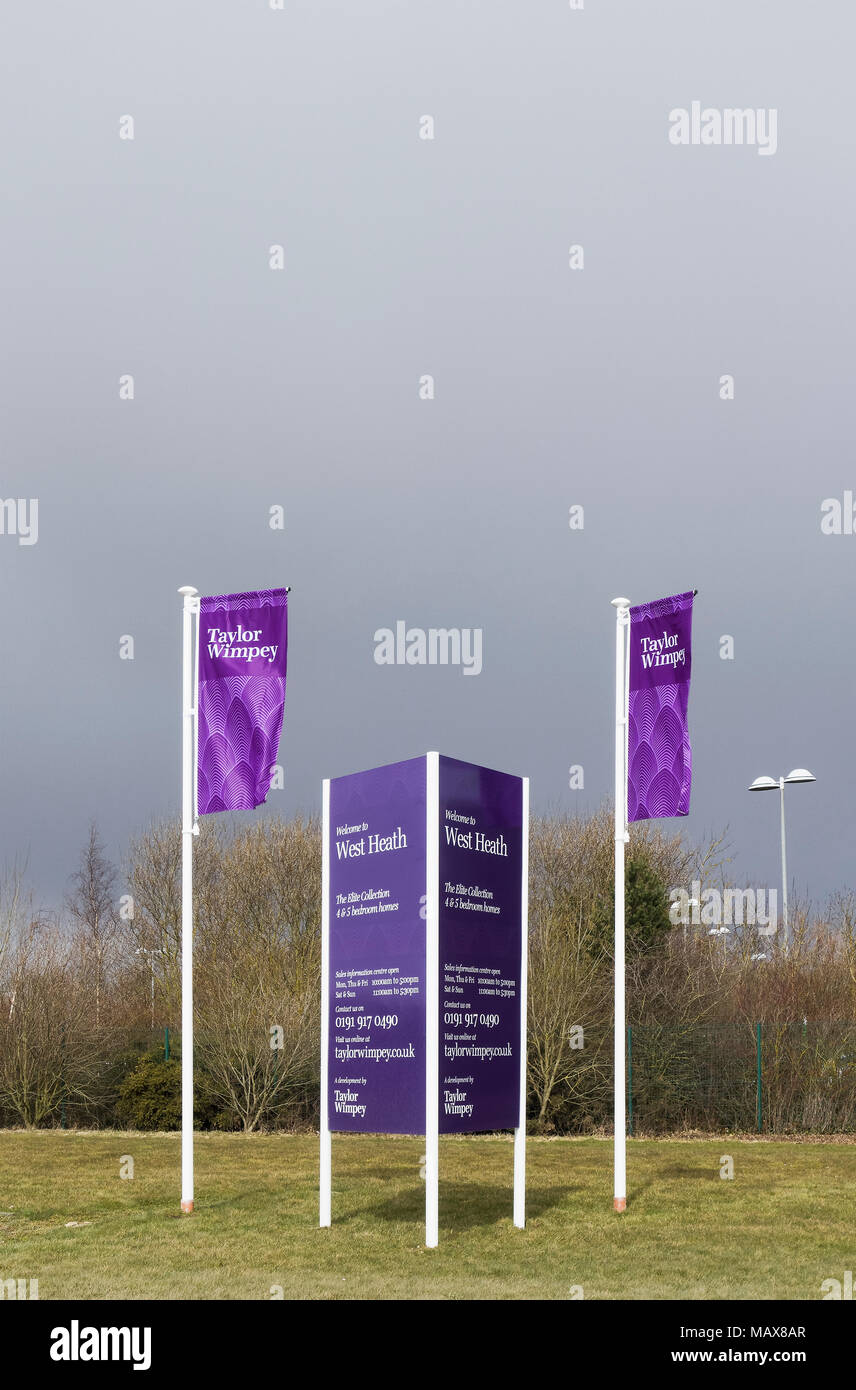 Taylor wimpey homes hires stock photography and images Alamy