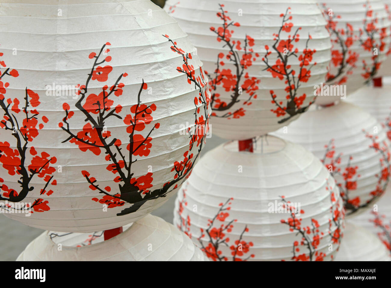 Painted paper lanterns hang in the Ming Dynasty Wall Relics Park in central  eastern Beijing, China, during a cherry flower festival Stock Photo - Alamy