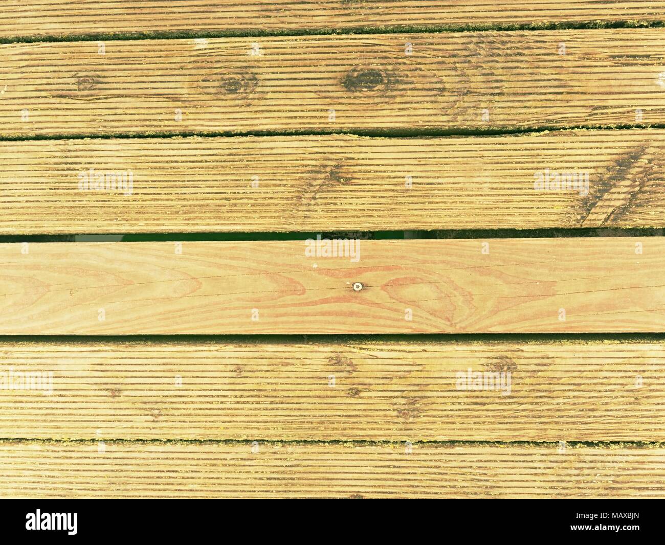 The Surface Of The Hardwood Floor Treated With A Fungicidal And