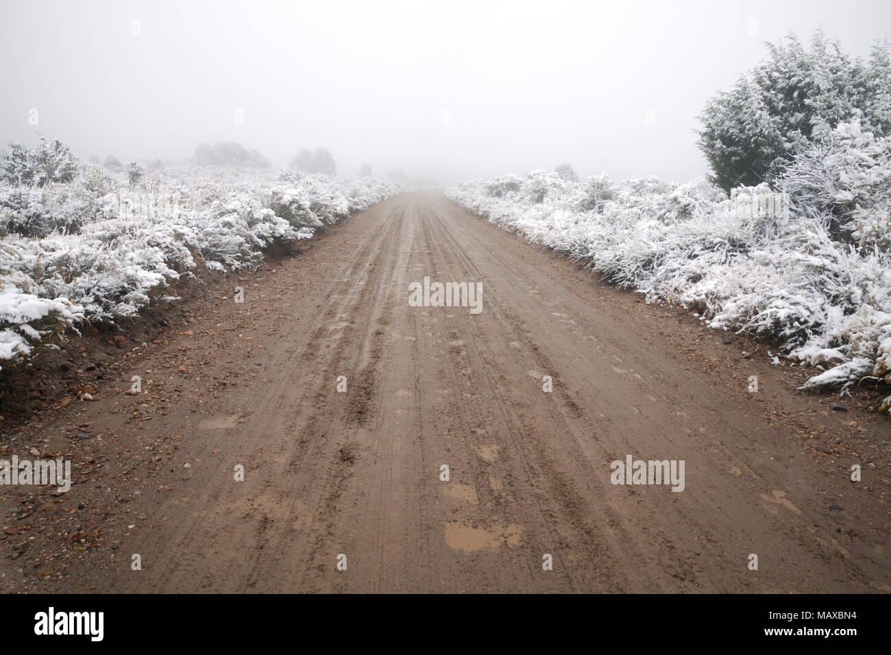 ID00768-00...IDAHO - Muddy dirt road with snow on the sides in City Of Rocks National Reserve. Stock Photo