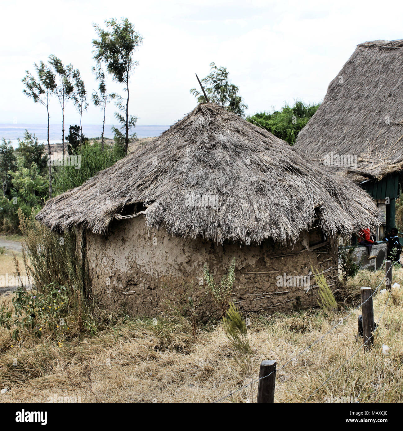 typical-mud-huts-hi-res-stock-photography-and-images-alamy