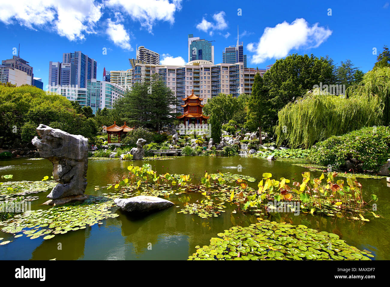 Chinese garden of friendship darling harbour hires stock photography