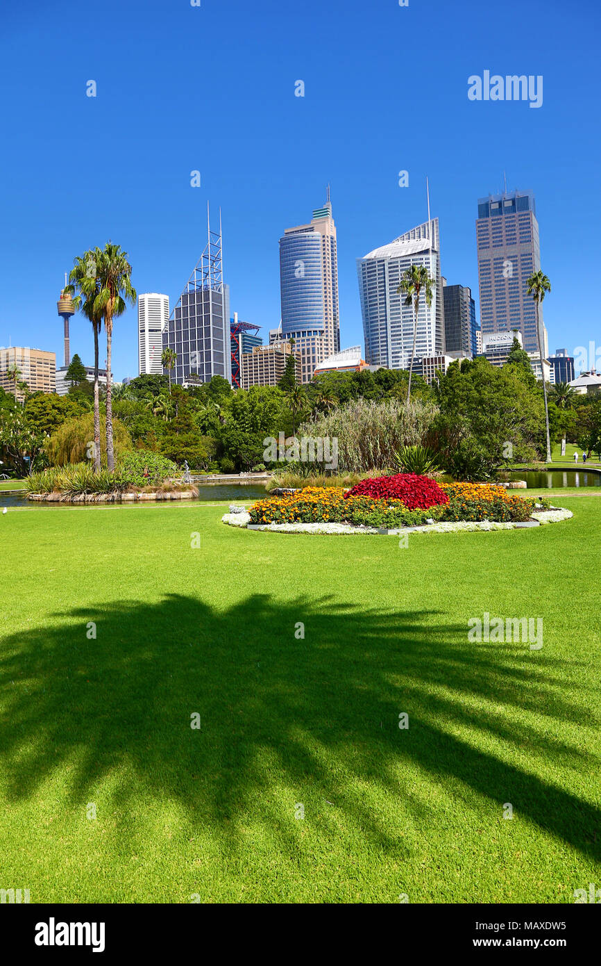 Sydney city skyline and CBD and the Royal Botanic Gardens with palm tree silhouette, Sydney, New South Wales, Australia Stock Photo