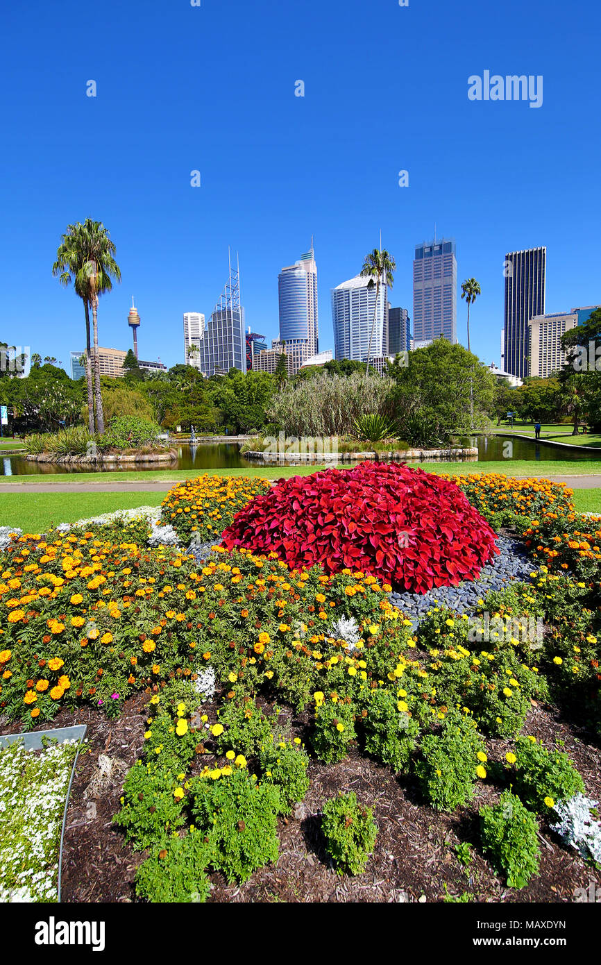 Sydney city skyline and CBD and the Royal Botanic Gardens, Sydney, New South Wales, Australia Stock Photo