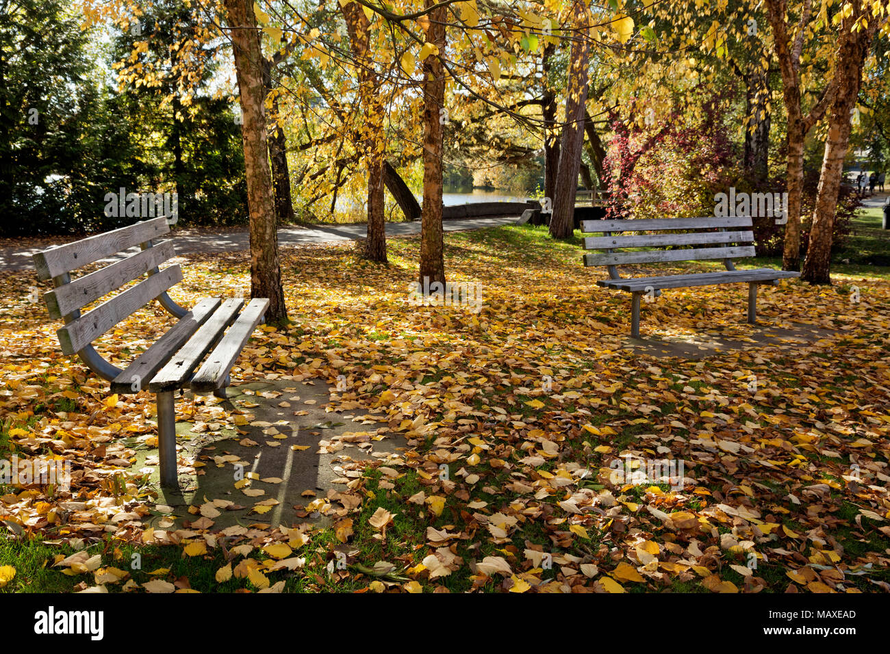 Colorful Park Benches High Resolution Stock Photography and Images - Alamy