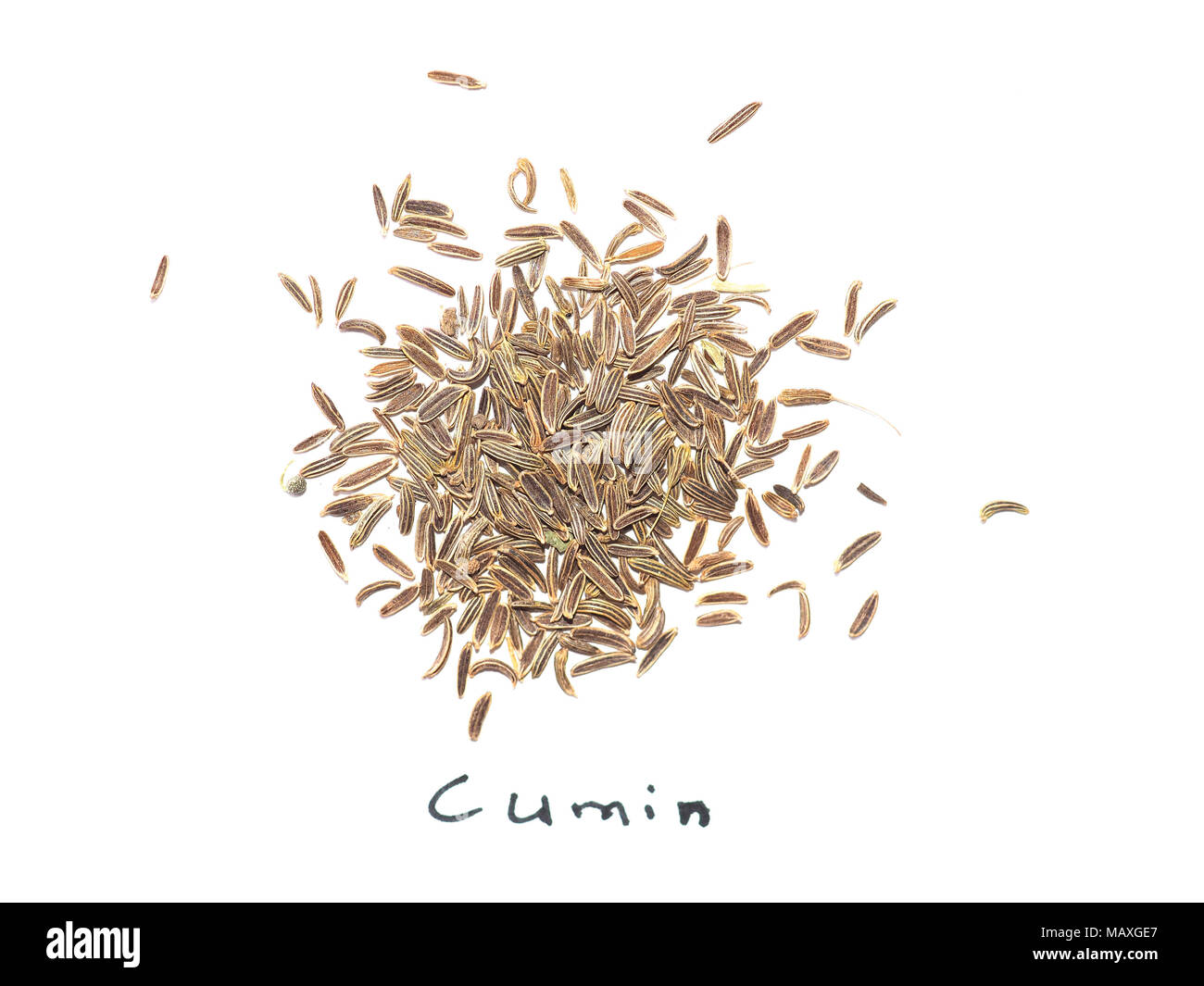 Black Cumin (Bunium bulbocastanum) aka caraway seeds over white background Stock Photo