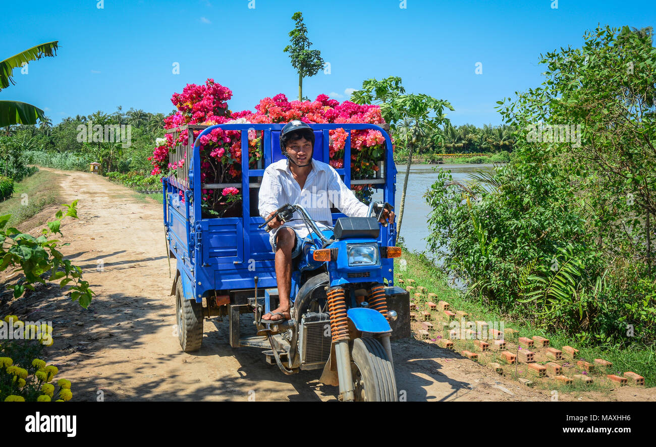 Mekong Delta, Vietnam - Jan 31, 2016. People carrying flowers to market in Mekong Delta, Vietnam. The Mekong Delta is by far Vietnam most productive r Stock Photo