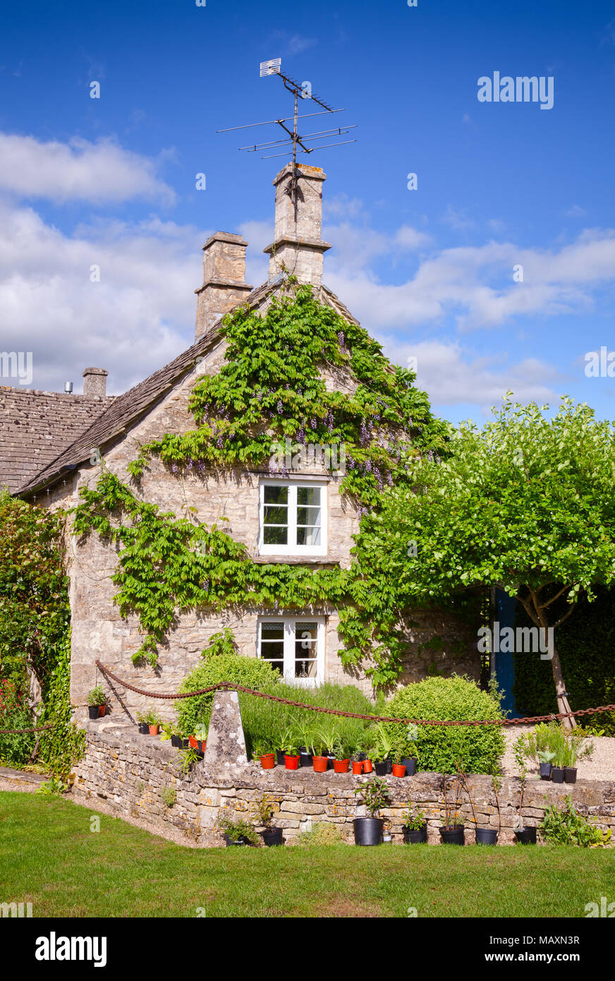 A typical English country cottage decorated with vine and potted plants in Southern England UK Stock Photo