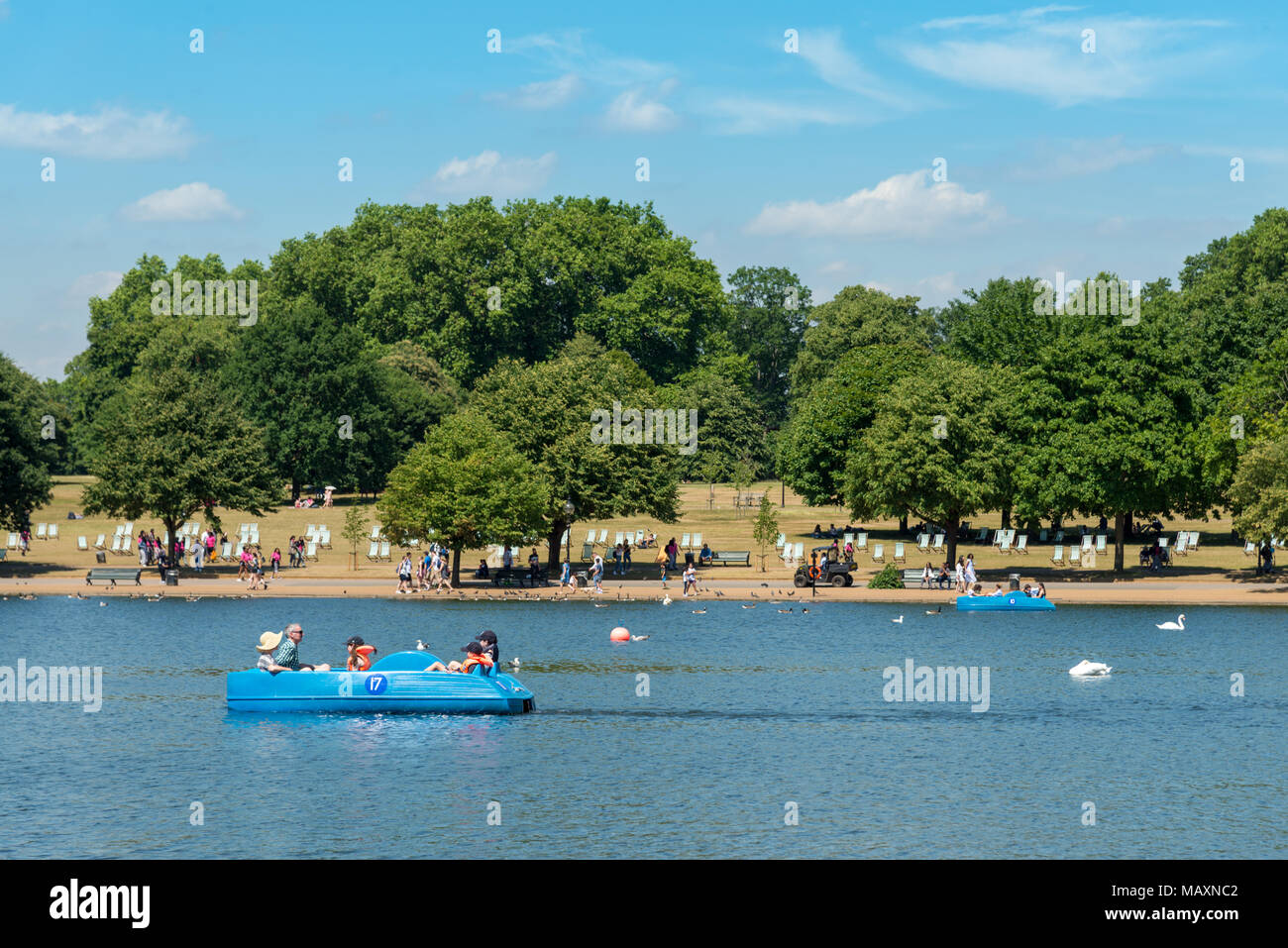 Paddle boats on the Serpentine, Hyde Park, London, UK Stock Photo Alamy