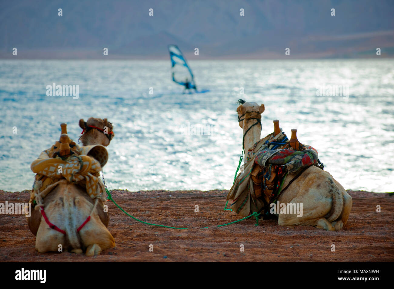Egypt, Sinai Peninsula, Dahab Stock Photo