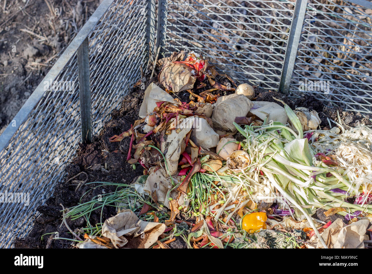 Compost heaps with kitchen waste such as vegetable peel, fruit bowls