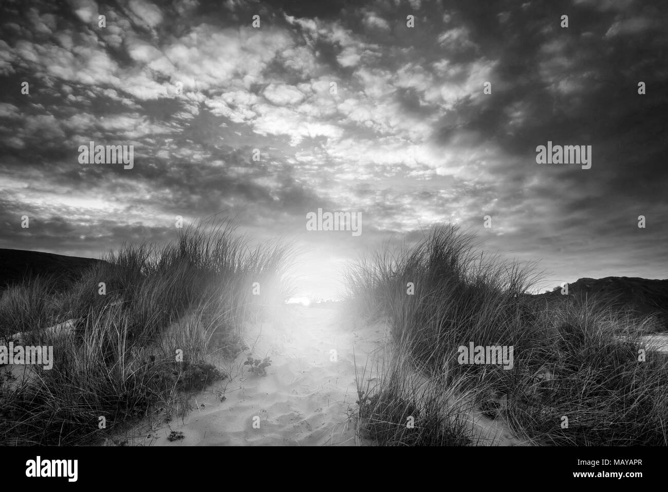 Black and white sunrise landscape over Three Cliffs Bay on the Gower Peninsula in Wales Stock Photo