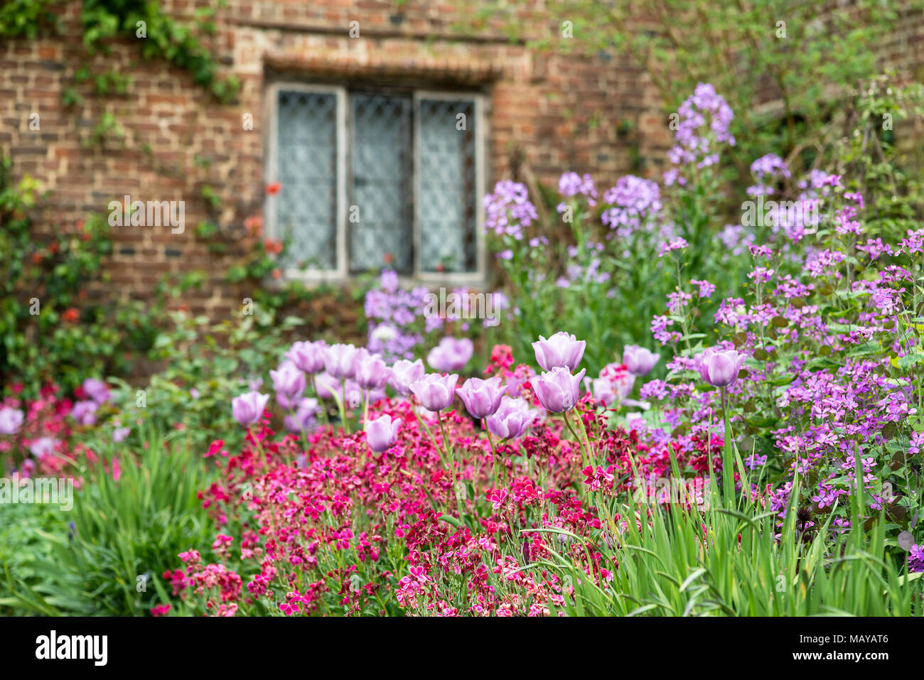 Quintessential English country garden scene landscape with fresh Spring