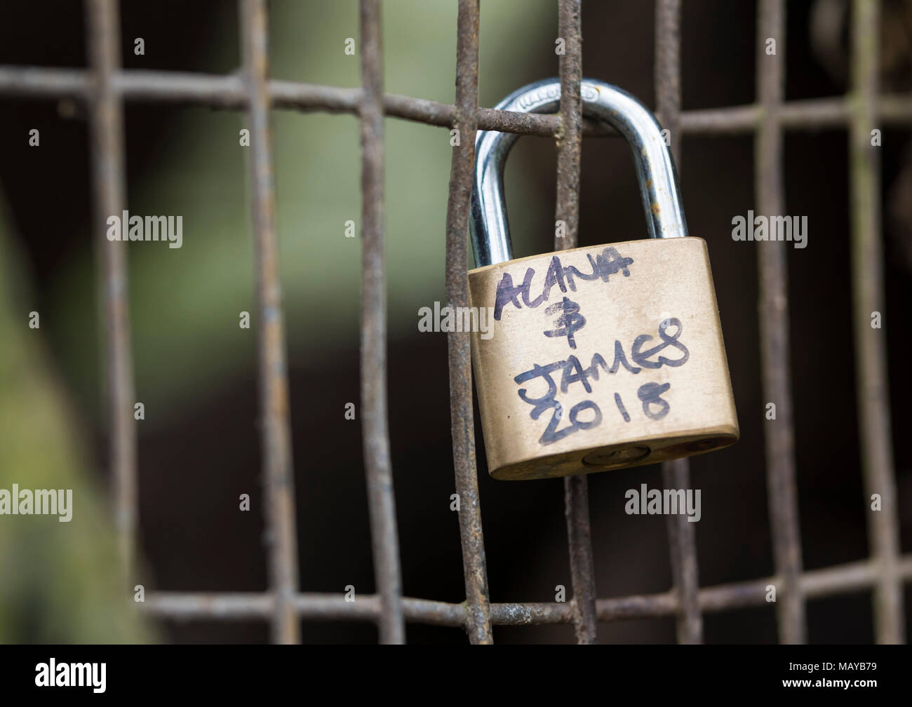 Love lock or love padlock locked to a fence. Stock Photo