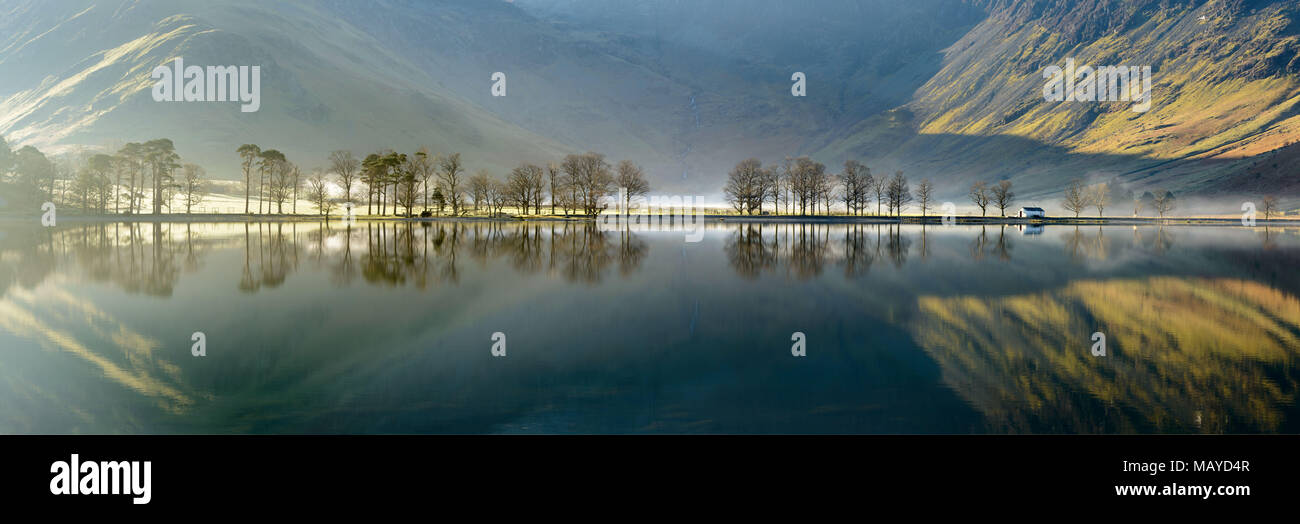 Buttermere trees, Lake Buttermere, Lake District, Cumbria, UK Stock Photo