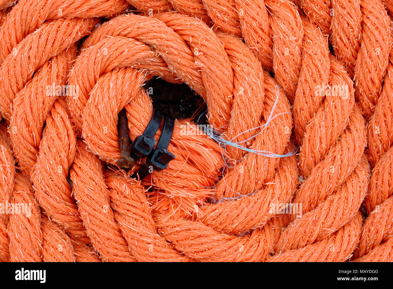 Nautical rope with a binder Stock Photo