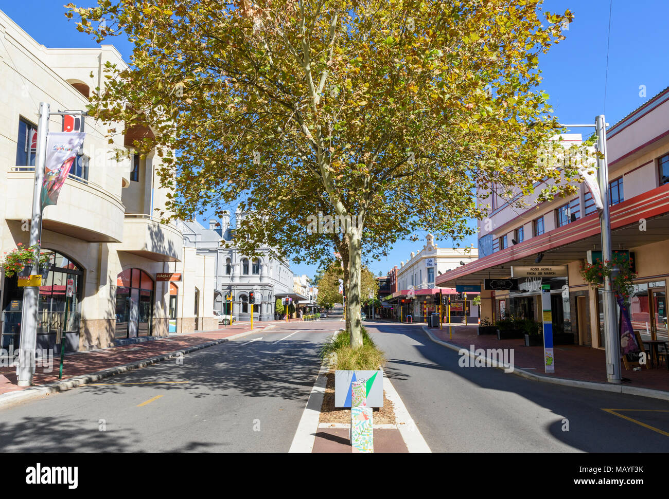 Plane tree shaded entertainment, shopping and cafe strip of Rokeby Road, Subiaco, Perth, Western Australia Stock Photo