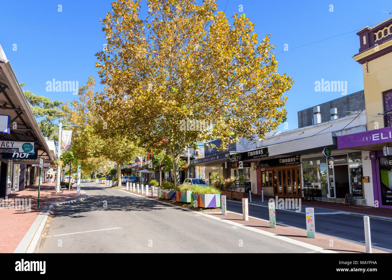 Plane tree shaded shopping and cafe strip of Rokeby Road, Subiaco, Perth, Western Australia Stock Photo