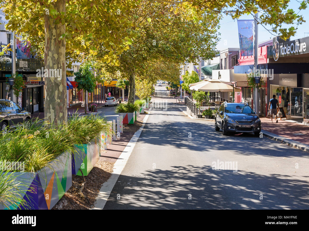 Planter boxes with Plane trees shading the shopping and cafe strip of Rokeby Road, Subiaco, Perth, Western Australia Stock Photo